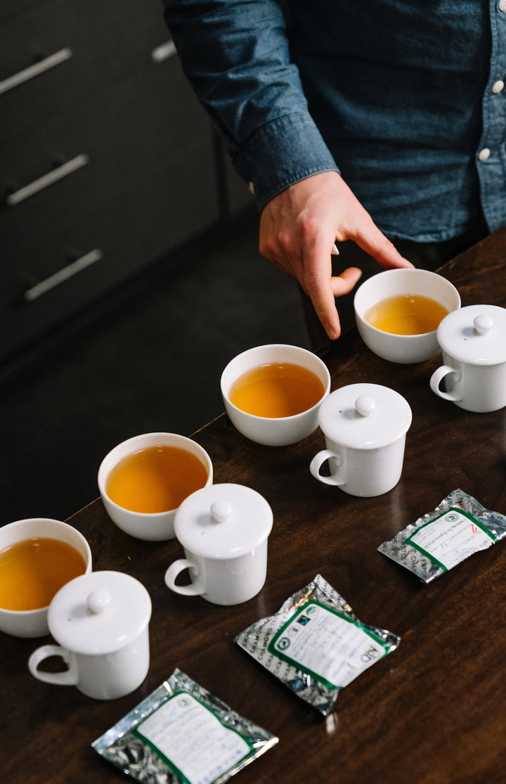 cupping of darjeeling 1st flush samples