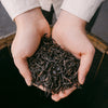 Hands holding a pile of tea leaves against a dark background